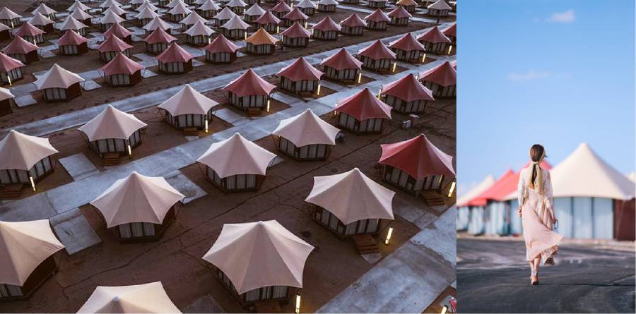 青原区酒店帐篷生产厂家